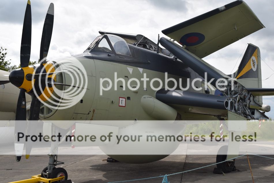 http://i478.photobucket.com/albums/rr141/Deetektor/Aviation%20pics%20with%20Nikon/Elvington%20June%202014%20%20%202_zpsh42ybtru.jpg