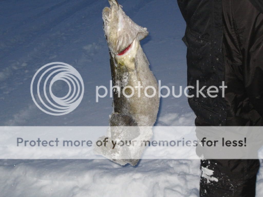 Peerless lake East of Red Earth Creek Alberta Outdoorsmen Forum